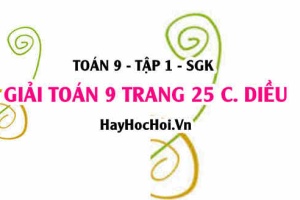 Giải Toán 9 trang 25 tập 1 Cánh Diều